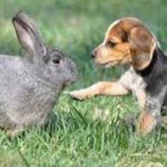 Meet your Posher, Emily - Picture 1 of 1